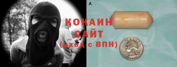 мет Алексин