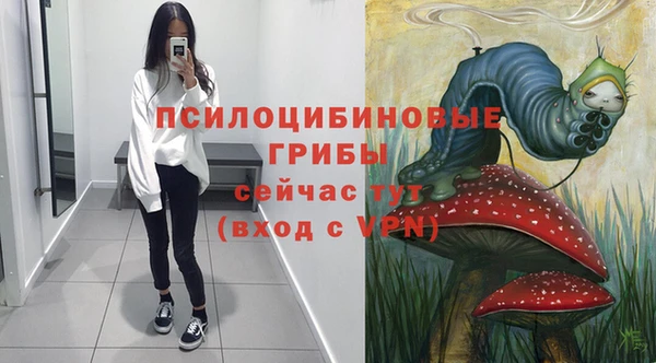 круглые Алзамай